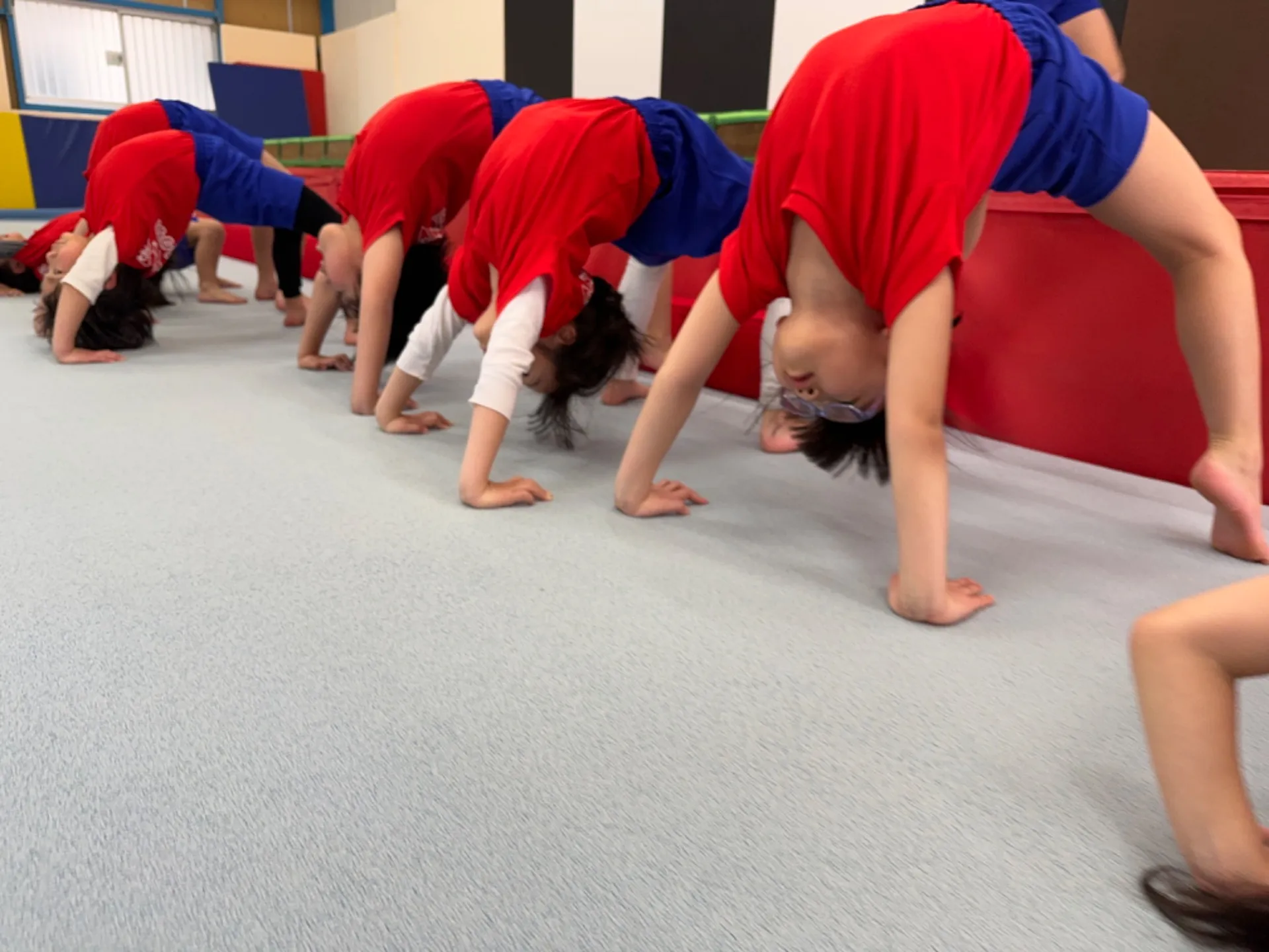 奈良で人気！2才から中学生までの体操教室！カイト体操クラブ🤸‍♀️