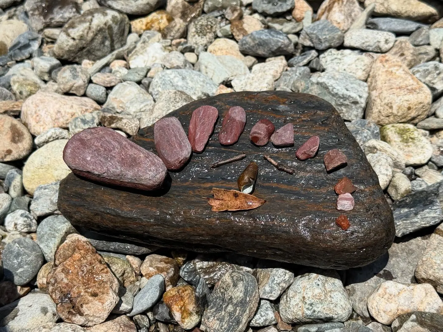 🍉2025年夏のイベント盛〜り盛り　体操合宿🍉